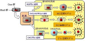 Core-Shell型錠剤の薬物放出抑制効果と薬物放出モデルの解明(H19)の画像1