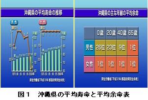 沖縄長寿の減衰と復興(H20)の画像1