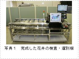 花卉の検査・選別システムの開発(H20)の画像3