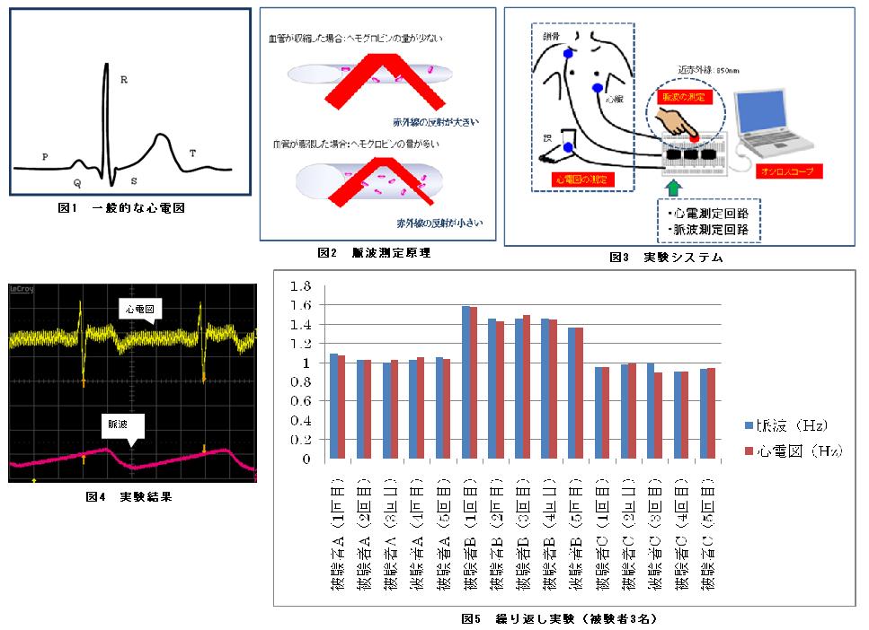 心電図と脈波簡易測定装置の開発 −生体信号を用いて電子回路の勉強をしよう−(H20)の画像1