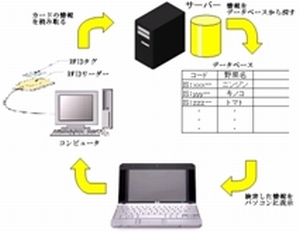 RFIDを使った野菜情報読み取りシステムの製作(H22)の画像1