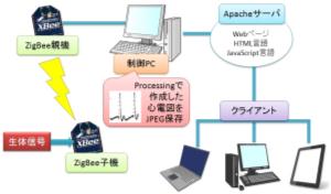 生体情報遠隔監視システムの製作（情報処理編）(H24)の画像1