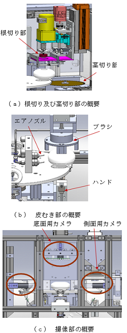 にんにく仕上げ機の開発(H26)の画像3